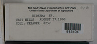 Image Associated With the Occurence